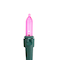 50ct. LED Mini Christmas String Lights with Green Wire
